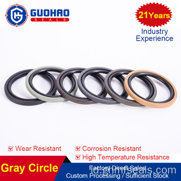 PTFE profesional yang dienkapsulasi cincin segel oli cincin-O